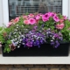 Balcony boxes for flowers: what are they and how to choose them?
