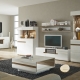 Weiße modulare Wohnzimmermöbel: Funktionen und interessante Optionen