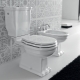 Which is better for the toilet: porcelain or faience?