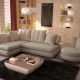 Sofas im Wohnzimmer: Sorten, Auswahlmöglichkeiten und Optionen im Innenraum