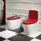 Toalety stojące: urządzenie i odmiany, zalecenia dotyczące wyboru