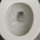 Pangkalahatang-ideya ng mga uri ng flush toilet
