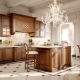 Features and varieties of elite kitchens