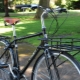 Raft frontal pentru o bicicletă: tipuri, caracteristici, recomandări de alegere