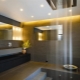 Ceiling lamps in the bathroom: varieties, brands and choices