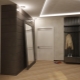 Couloir de style loft: options de conception et exemples originaux