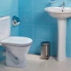 Scaune de toaletă Santek: caracteristici și recomandări de alegere