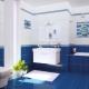 Jubin bilik mandi biru: kebaikan dan keburukan, jenis, pilihan, contoh