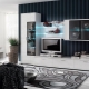 Modern falak a nappaliban: típusok, választási lehetőségek és lehetőségek a belső térben