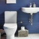 Design moderno della toilette: caratteristiche del design