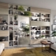 Shelving in the living room: varieties and design options