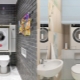 Mesin basuh di tandas: peraturan penempatan dan penyelesaian yang menarik