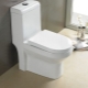 Monoblok tuvalet: seçim için özellikler ve öneriler
