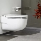 Toilet bowls without a cistern: pros and cons, varieties, choice