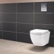 Grohe toilets: features and range