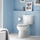 Nhà vệ sinh Santeri: tổng quan về các mô hình phổ biến