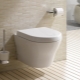 Λεκάνες τουαλέτας Toto: μοντέλα και τα χαρακτηριστικά τους