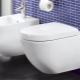 Villeroy & Boch toilets: description and range