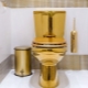Vasele de toaletă aurii: cum să alegi și să se potrivească corect în interior?