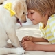 Animale de companie pentru copii: beneficii și daune, ce să alegeți?