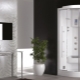 Showers with hydromassage: varieties, brands, selection, use