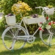 Bahçe tasarımında eski bir bisiklet kullanmak için fikirler
