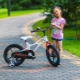 Značajke i najbolji modeli Royal Baby bicikala