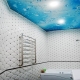 เพดานที่ถูกระงับในห้องน้ำ: คุณสมบัติ, ความหลากหลาย, การออกแบบ