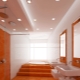 Gipszkarton mennyezet a fürdőszobában: előnyei és hátrányai, tervezési példák