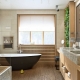 Vannas istabas ar logu: šķirnes, dizaina iespējas