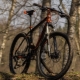 Bicicletas KTM: modelos, recomendaciones para la selección.