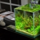 Aquarium-cubes: característiques, mides i normes de disseny