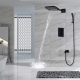 Fekete zuhanyrendszerek: választás és használat a belső térben