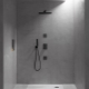 Vòi tắm đen: ưu và nhược điểm, các loại, sự lựa chọn