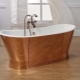 أحواض الاستحمام المصنوعة من الحديد الزهر: الميزات والأحجام ونصائح للاختيار
