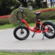 Bērnu elektriskie velosipēdi: šķirnes, zīmoli, izvēles, lietošanas noteikumi
