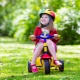 Basikal roda tiga kanak-kanak: penilaian model dan peraturan pemilihan