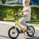 Bērnu velosipēdi 14 collas: labākie modeļi un padomi izvēlei