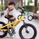 Biciclete pentru copii 18 inch: o prezentare generală a modelelor și recomandări de alegere