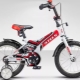 Children's bicycles Stels: varieties and tips for choosing