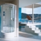 Dvere pre sprchovú kabínu: popis typov, dizajn a pravidlá výberu