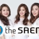 Kosmetik Korea The Saem: kebaikan, keburukan dan gambaran keseluruhan rangkaian