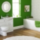 Bathroom paint: varieties, brands, choice