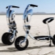 Potentes scooters eléctricos: variedades y consejos para elegir.