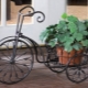 Çiçekler için bisiklet sehpası: çeşitler, seçim önerileri