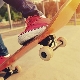 Skateboard-uri Termit: varietate de modele și alegere de accesorii