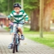 Bicycles for boys 7 years old: an overview of models and tips for choosing