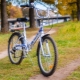 Stels kerékpárok: előnyei és hátrányai, fajták és tippek a választáshoz
