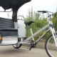 All about cycle rickshaws