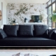 Siyah kanepeler: iç mekanlarda çeşitler ve seçenekler